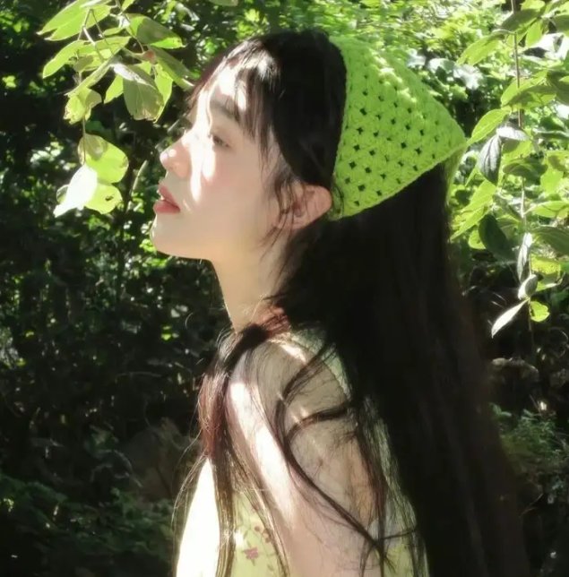 凤凰号
